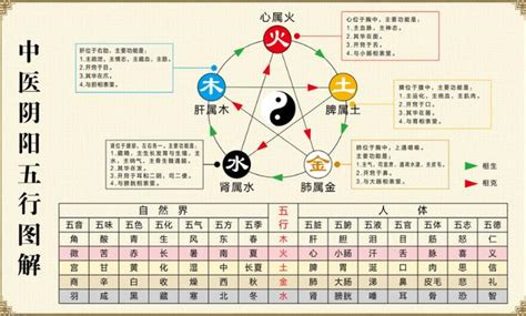 陰陽五行關係|陰陽五行對照表 (綜合版)